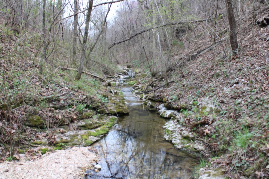 main property photo 37