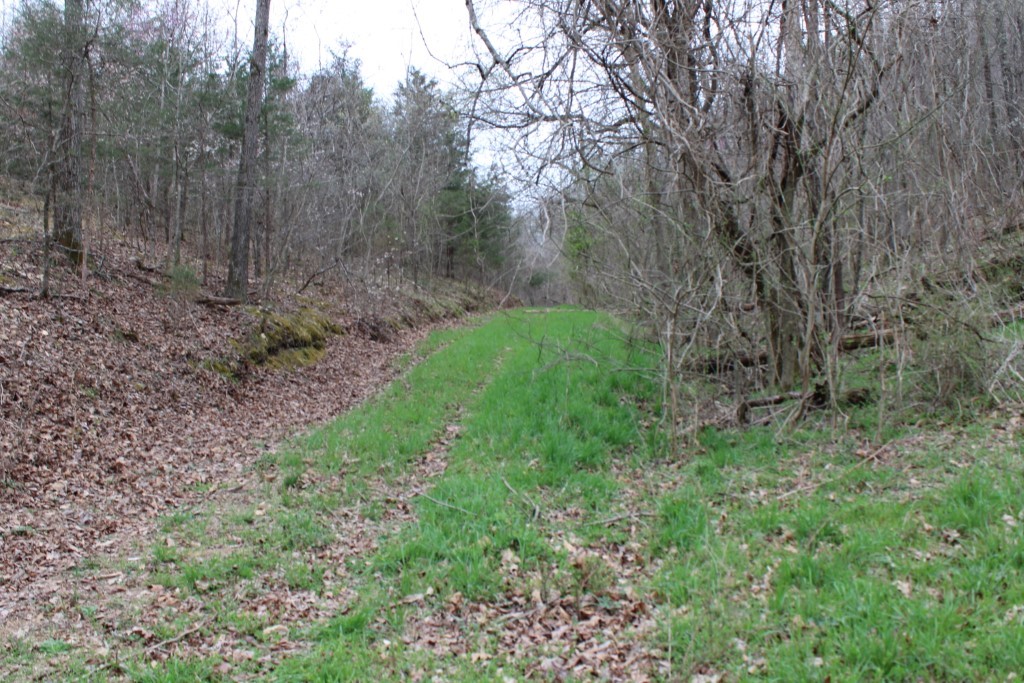 main property photo 41