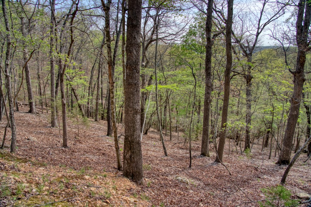 main property photo 25