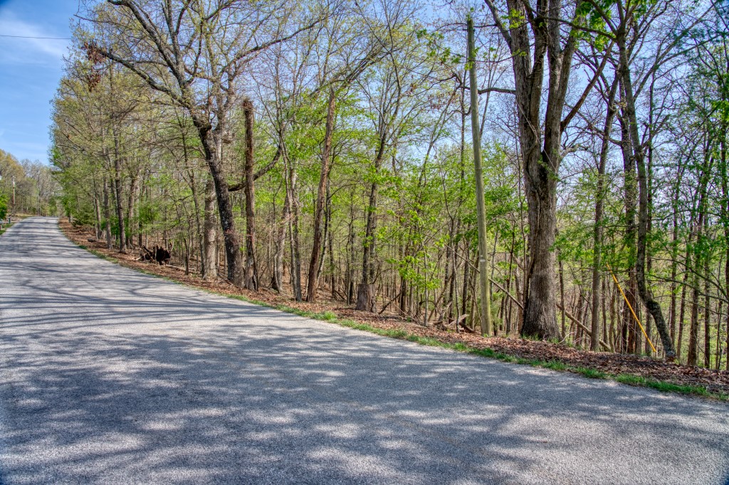 main property photo 30