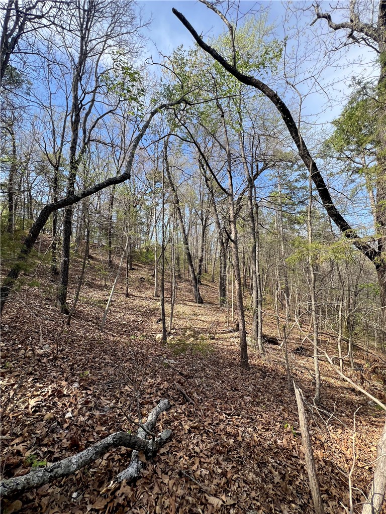main property photo 9