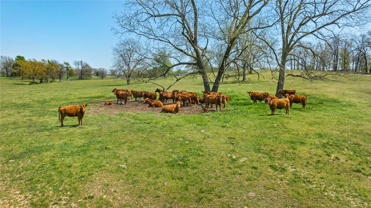 main property photo 13