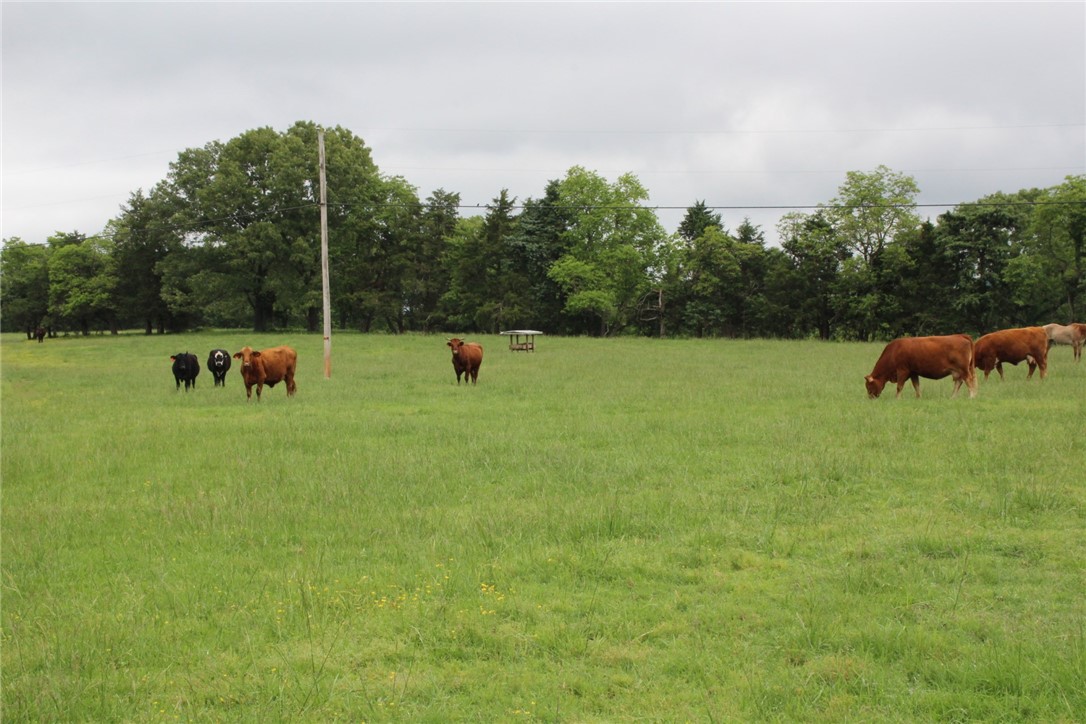 main property photo 35