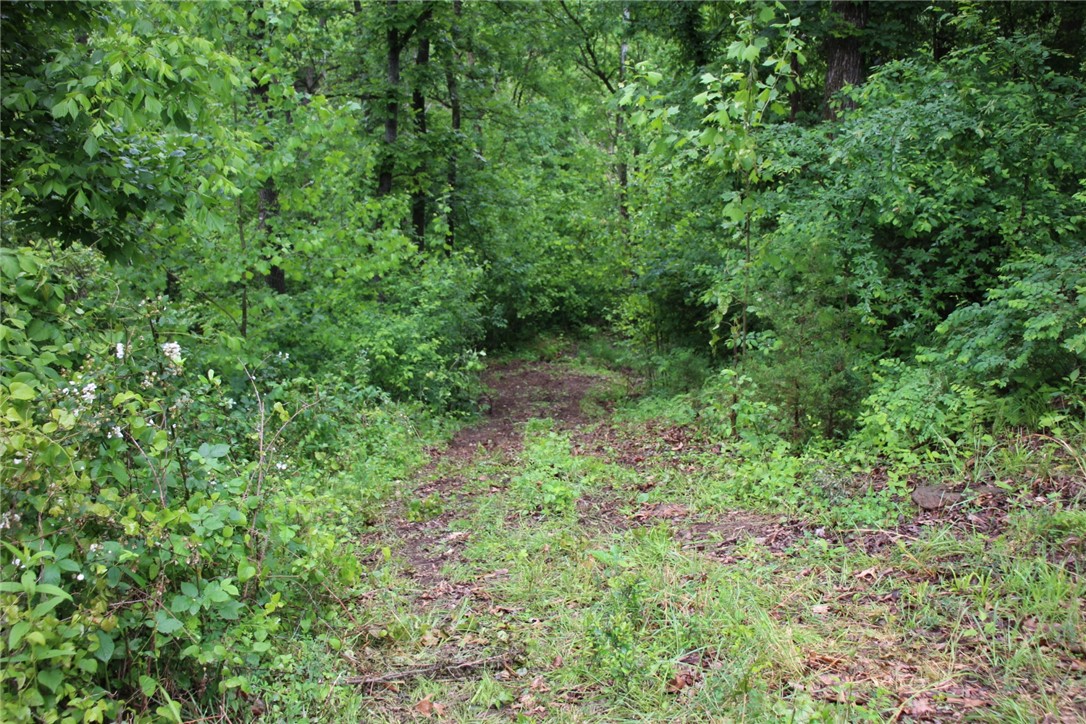 main property photo 42