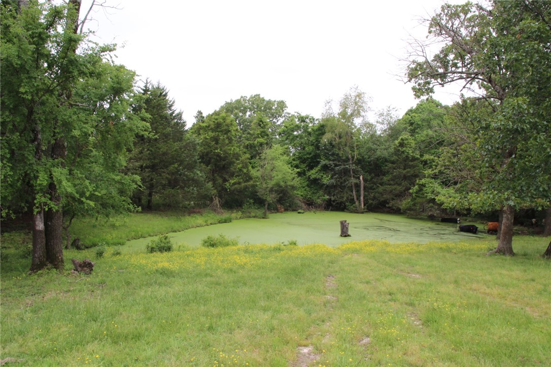 main property photo 51