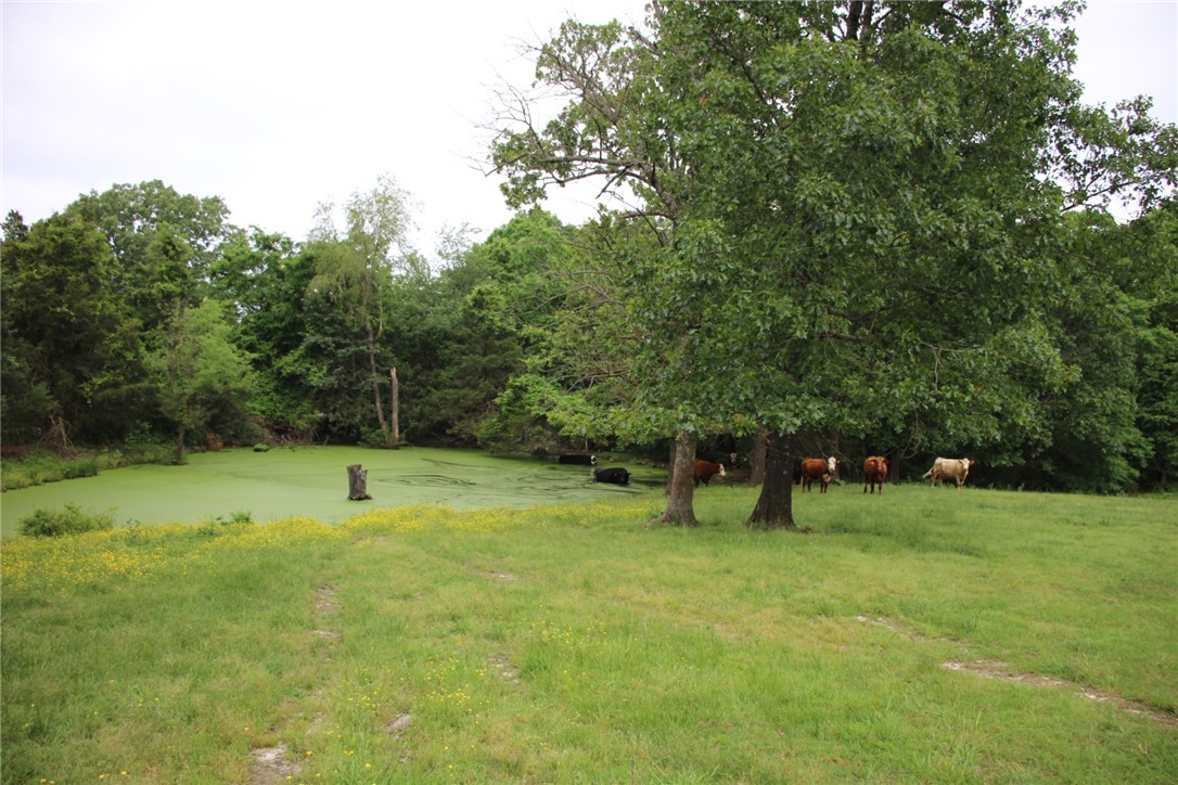 main property photo 52