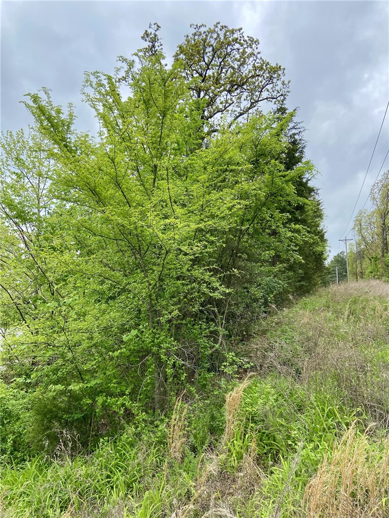 main property photo 8