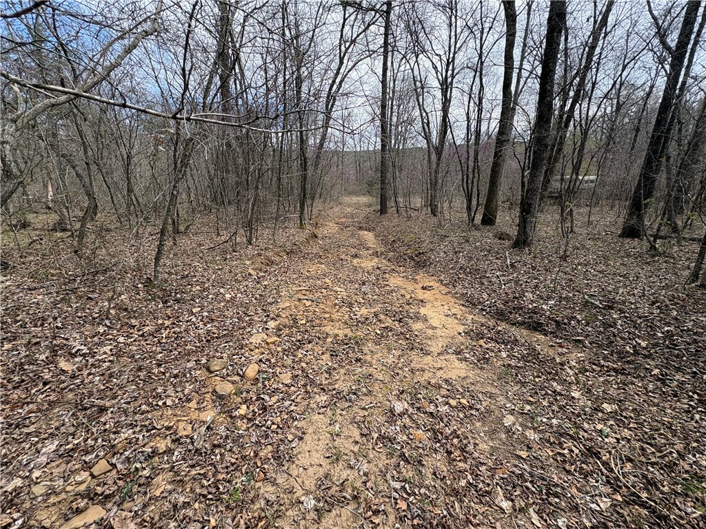 main property photo 26