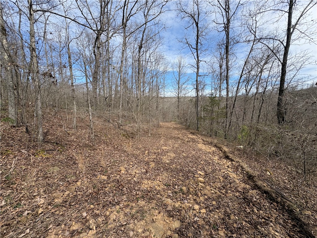 main property photo 30