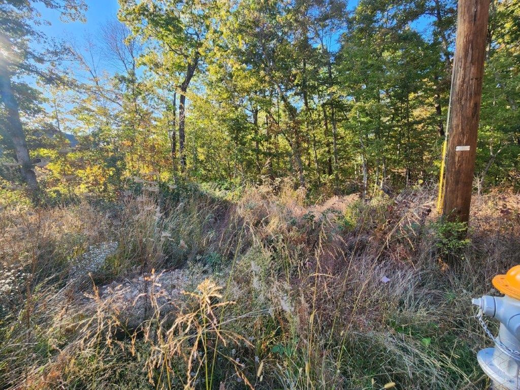 main property photo 8