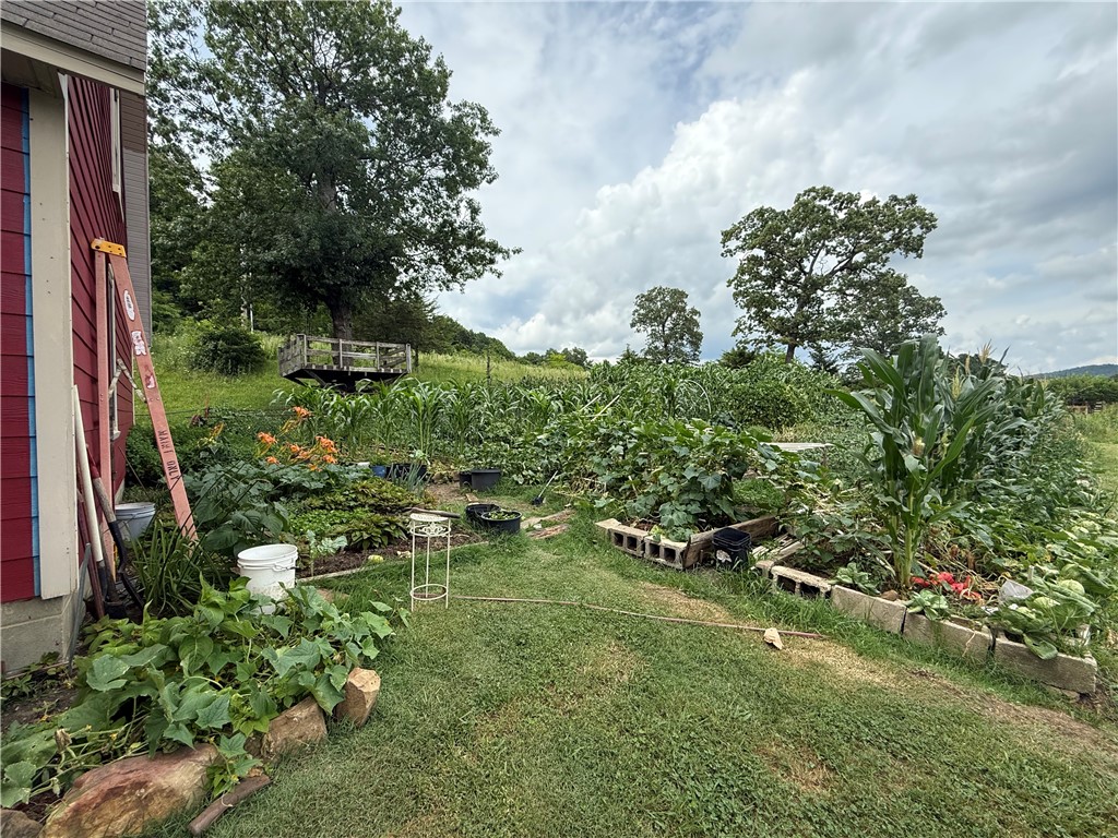 main property photo 22
