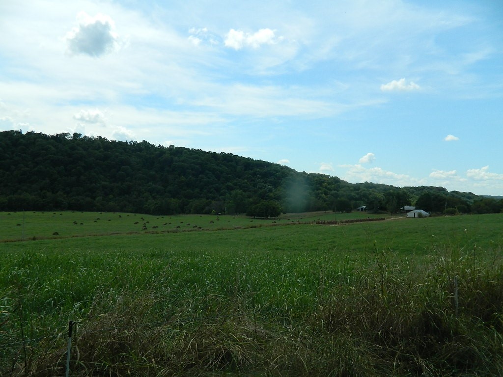 main property photo 34