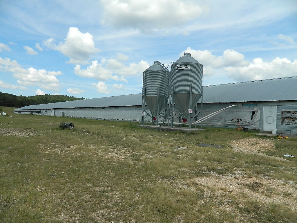main property photo 43