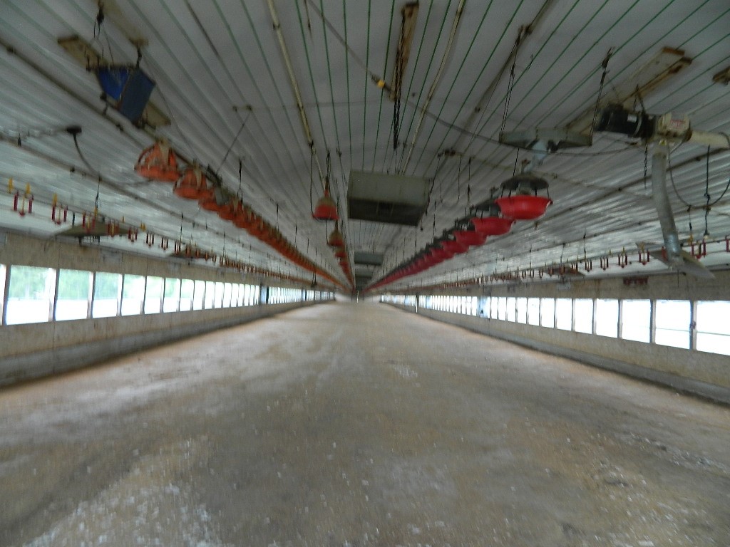 main property photo 44