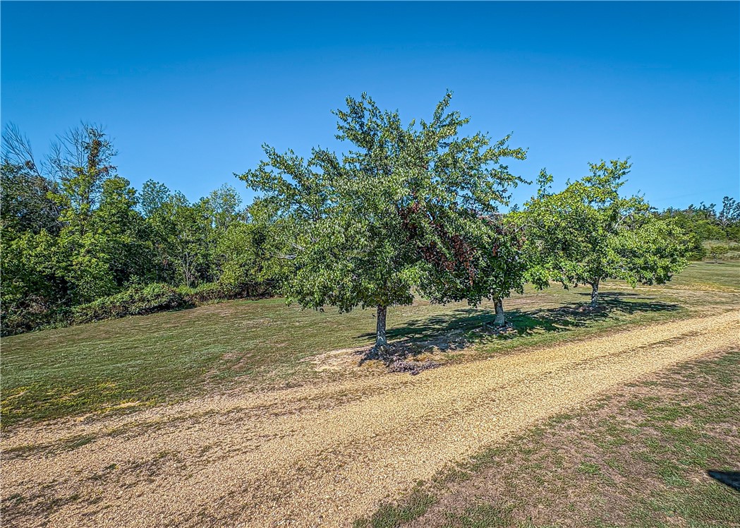 main property photo 46