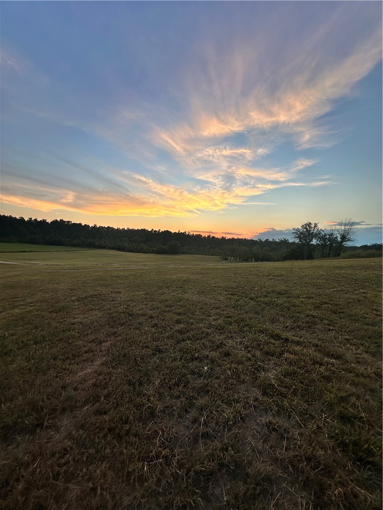 main property photo 54