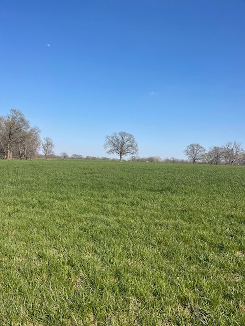 main property photo 44