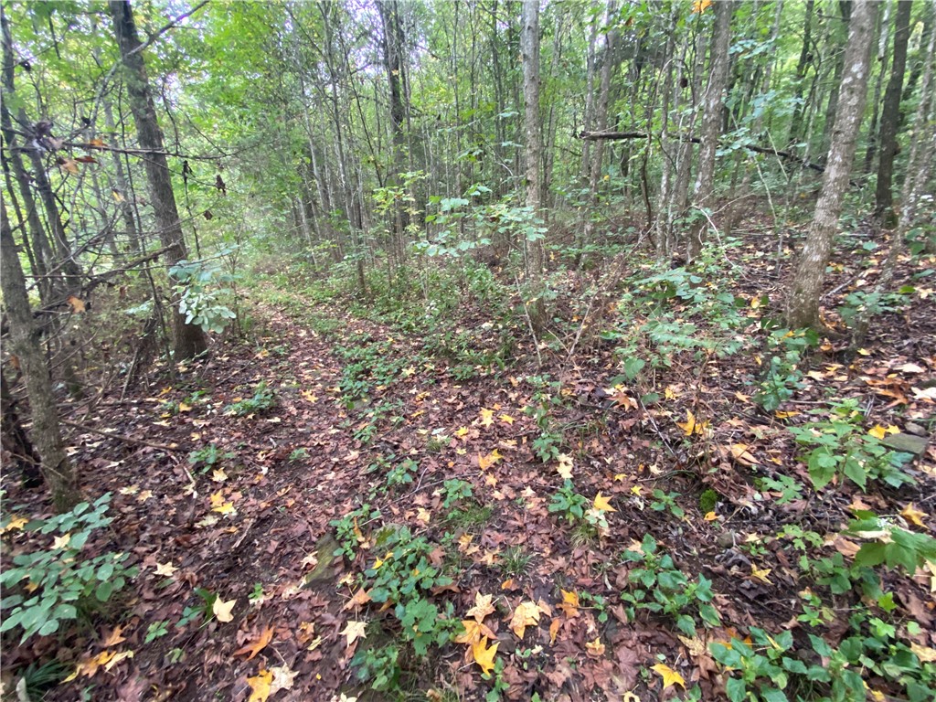 main property photo 47