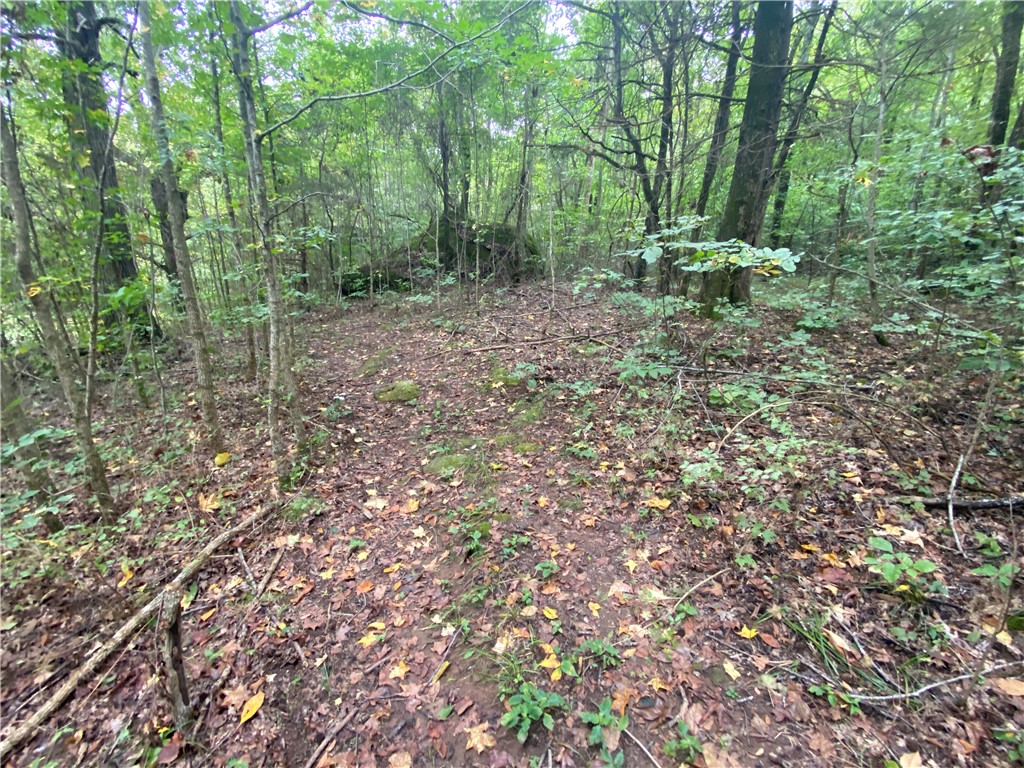 main property photo 48