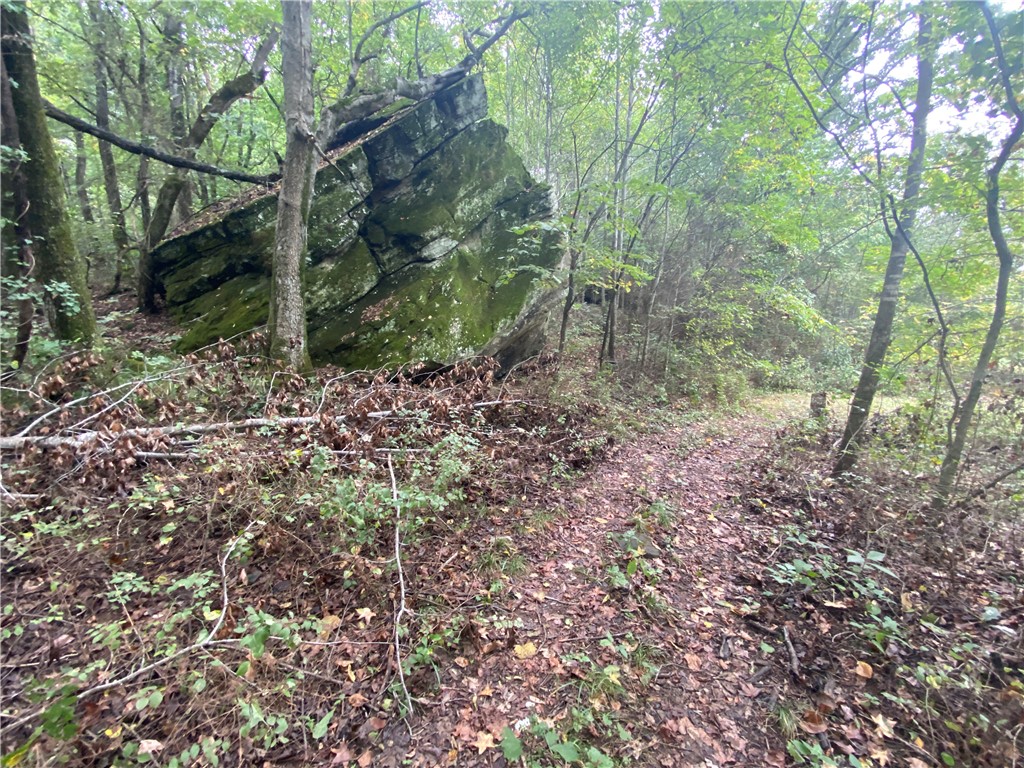 main property photo 49