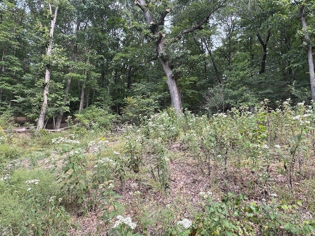main property photo 7