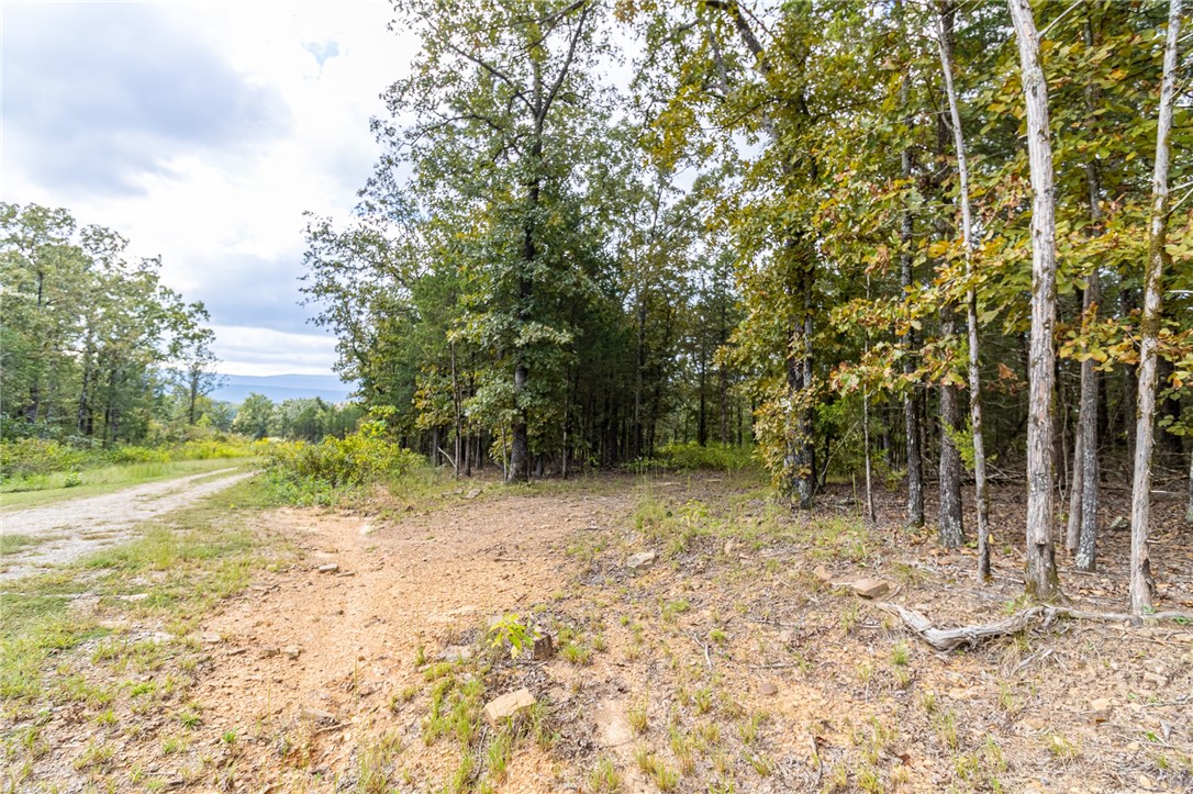 main property photo 8