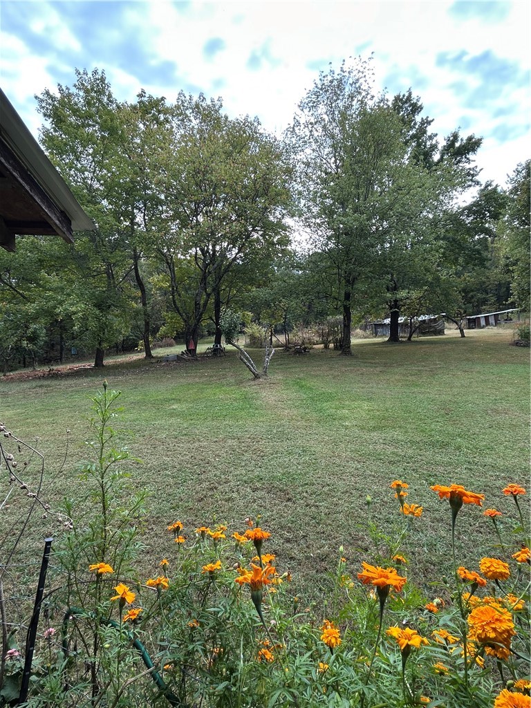 property viewer photo 9