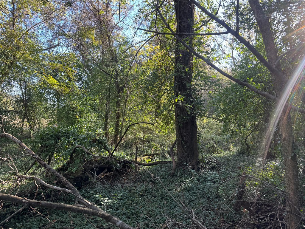 main property photo 10