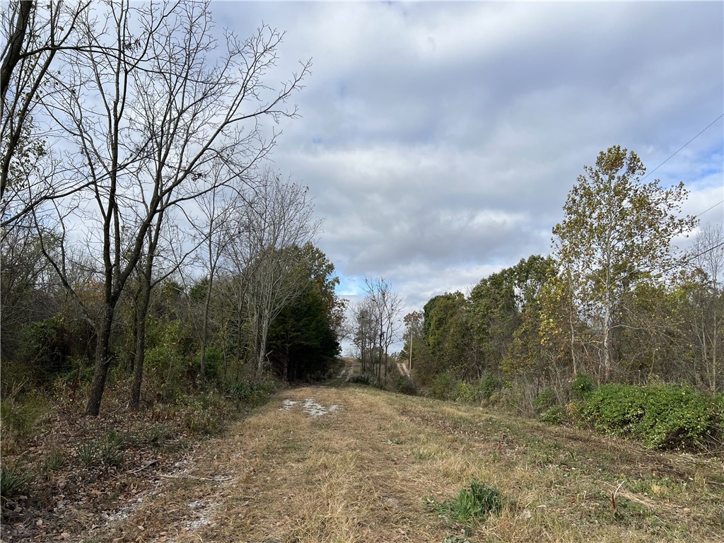 main property photo 26