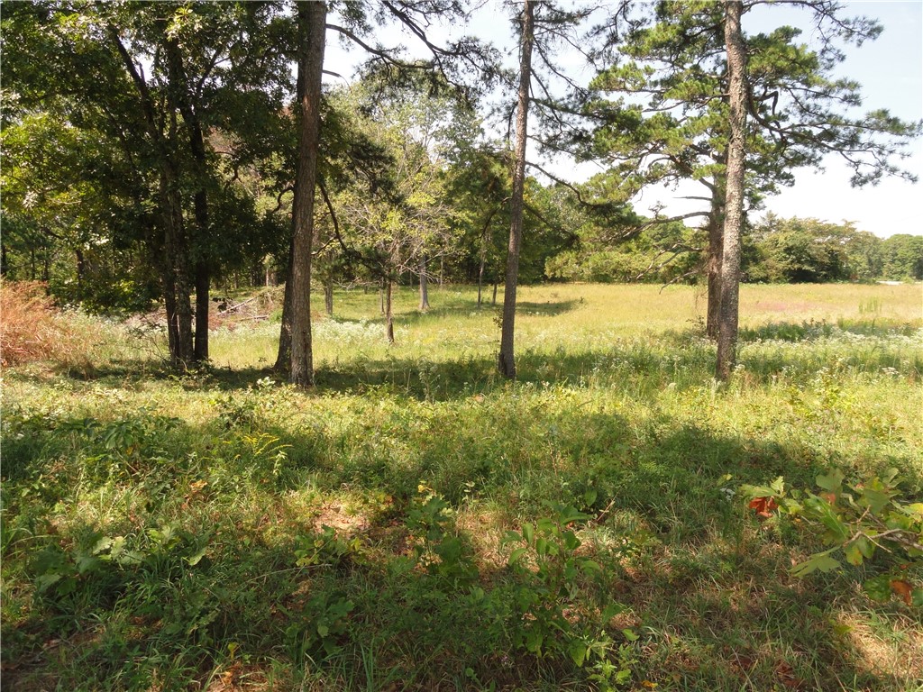 main property photo 11