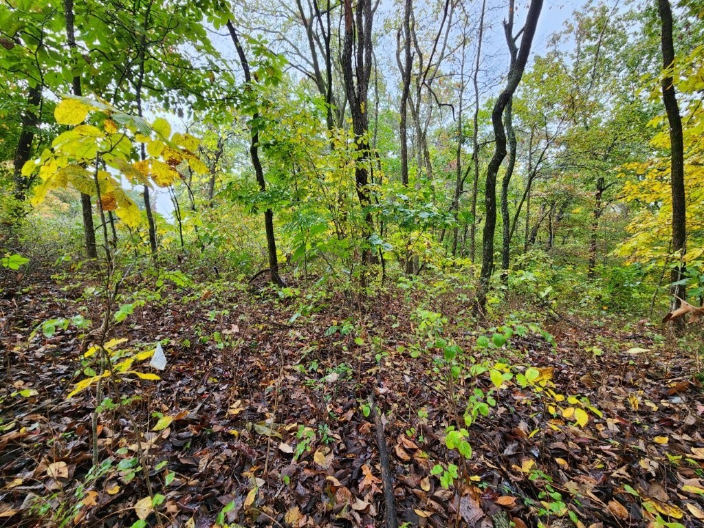 main property photo 10