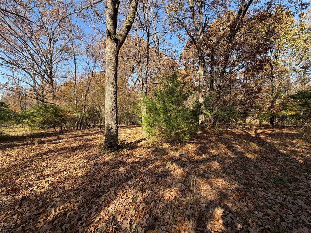main property photo 35