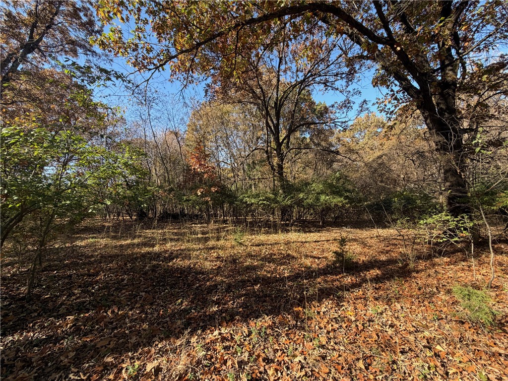 main property photo 40