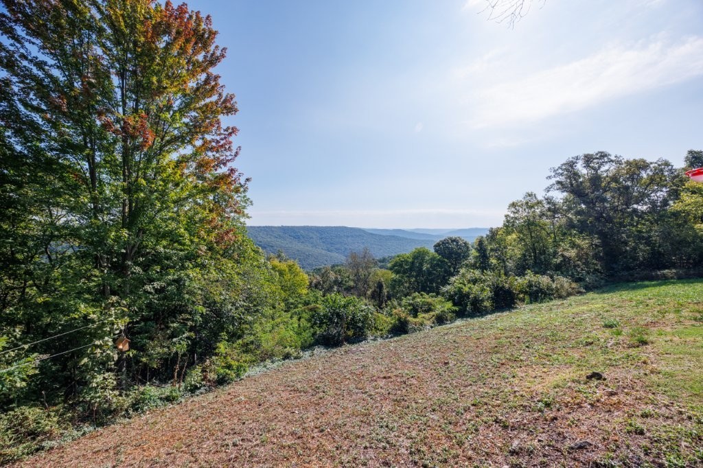 main property photo 50