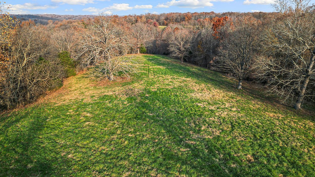 main property photo 39