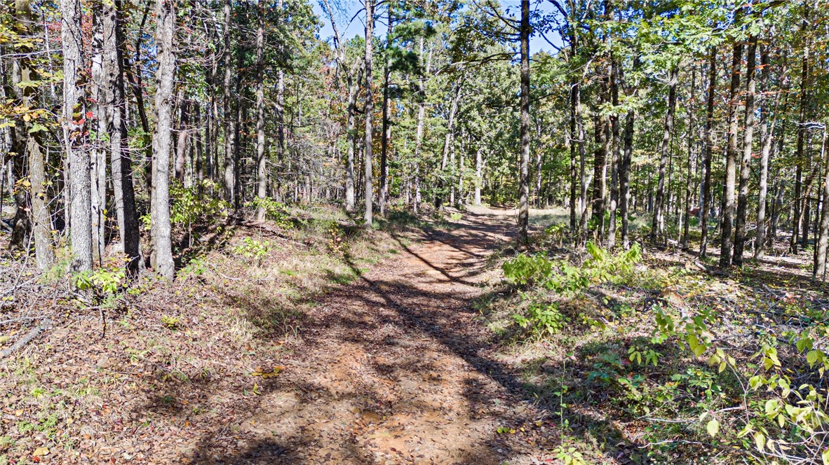 main property photo 25