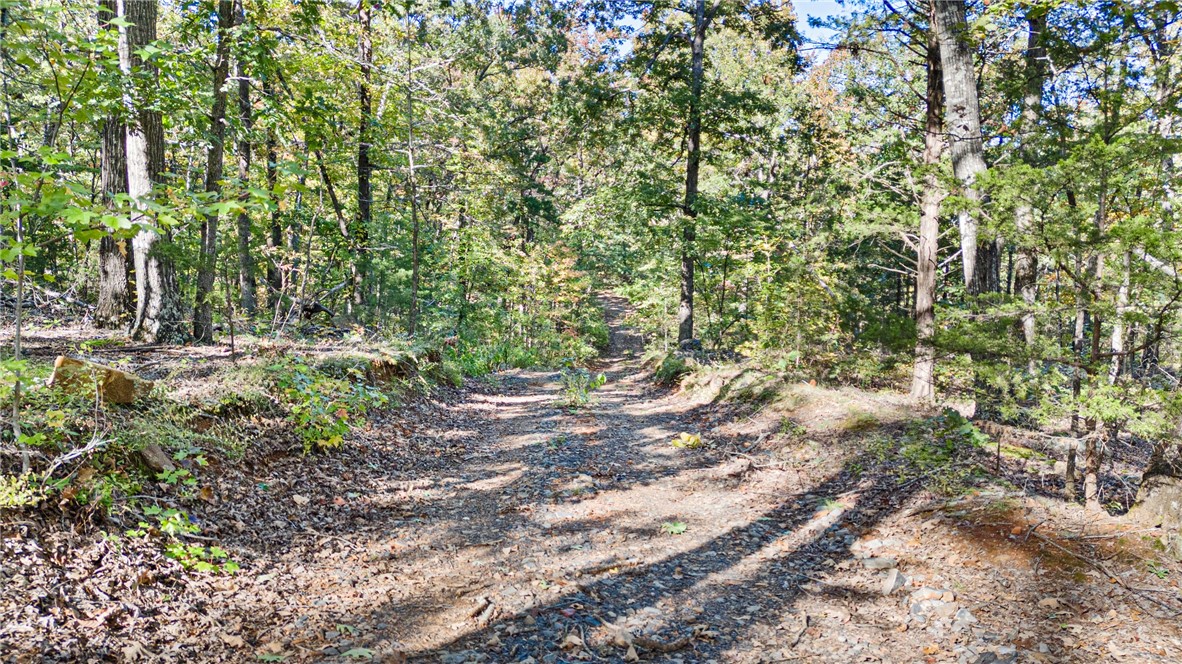main property photo 27