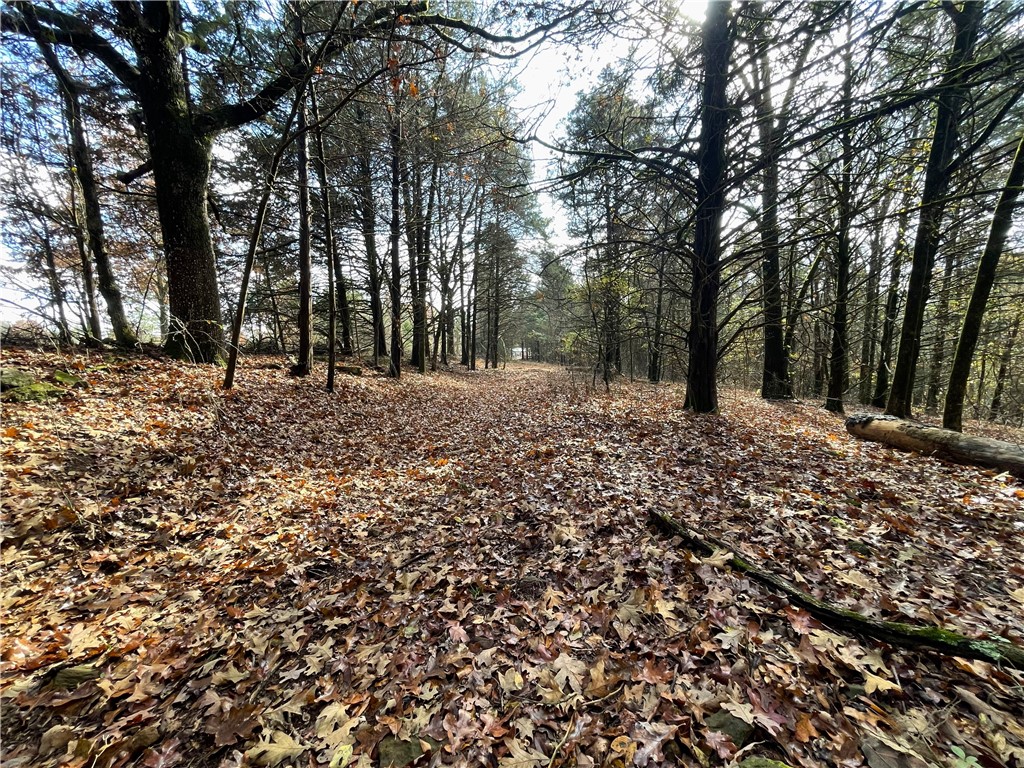 main property photo 30