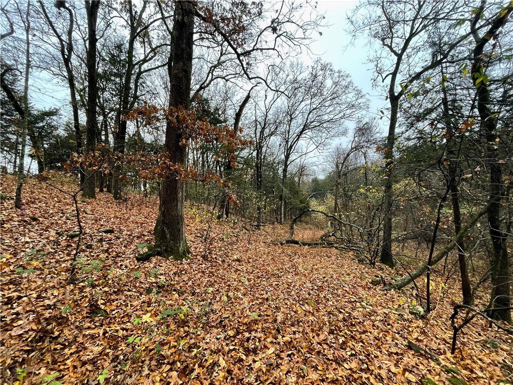 main property photo 31