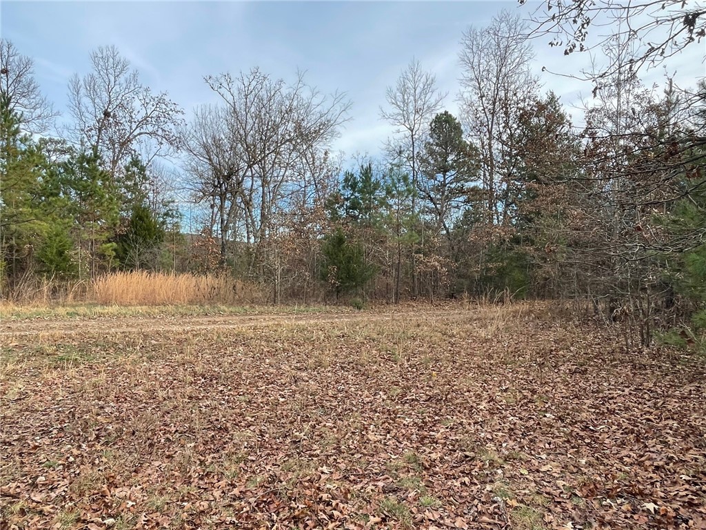 main property photo 18