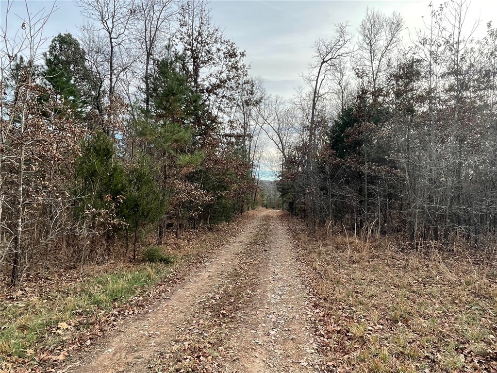 main property photo 19