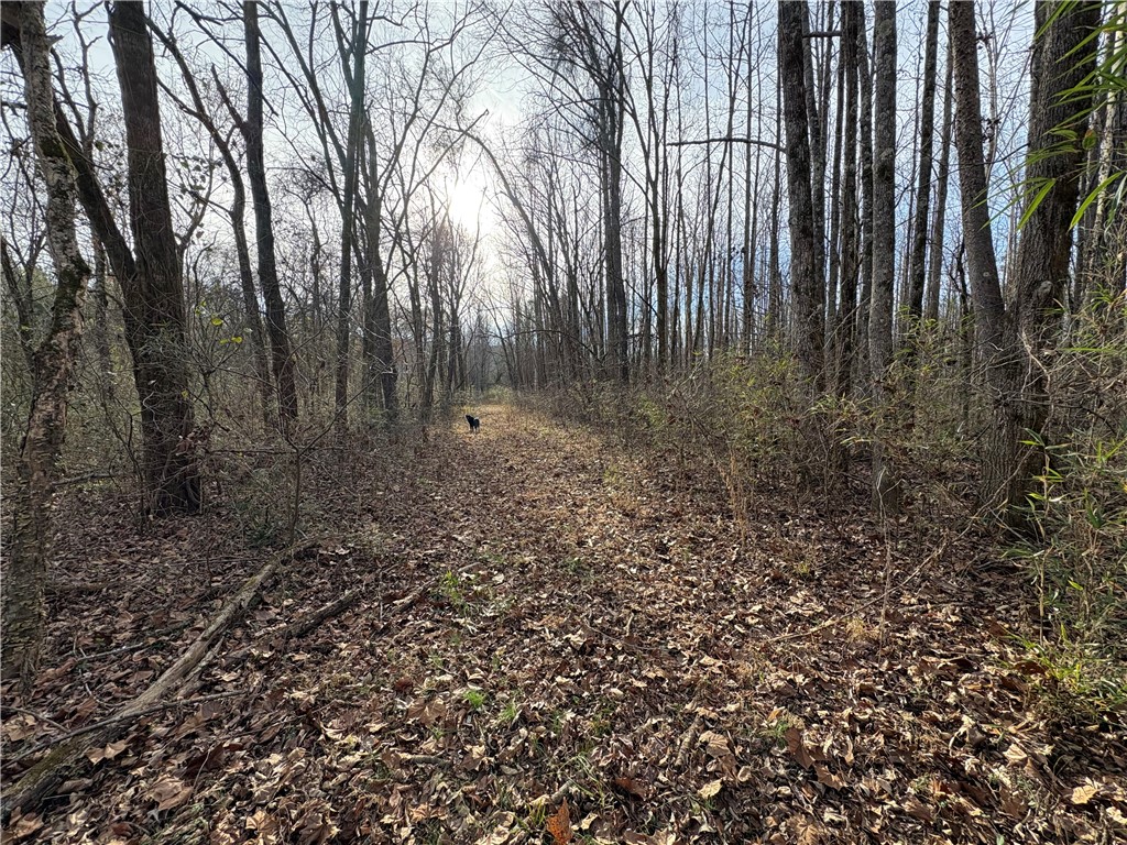 property viewer photo 21