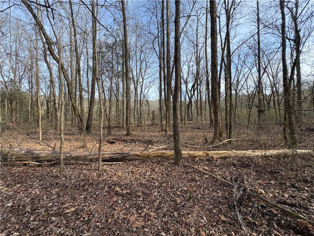 property viewer photo 22