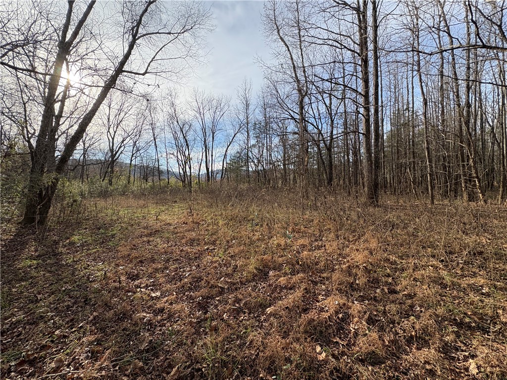 property viewer photo 23