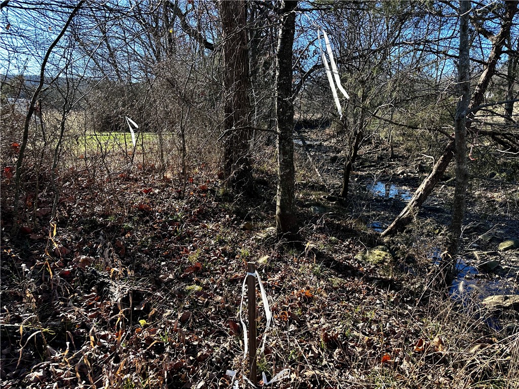 main property photo 53