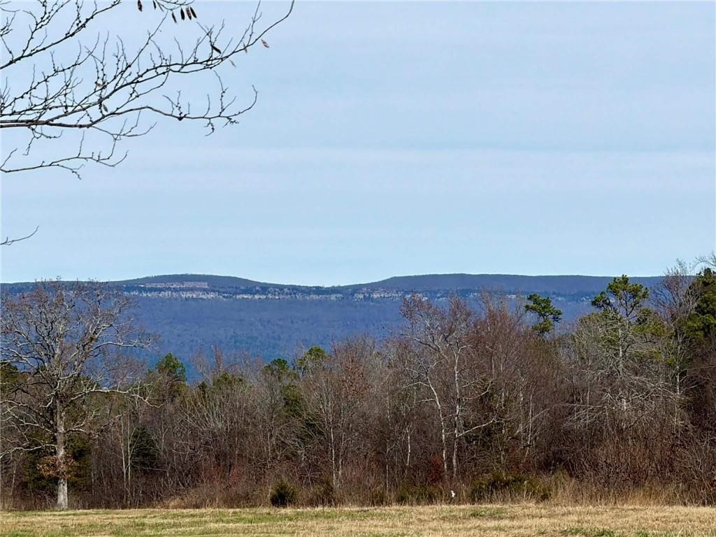 property viewer photo 2