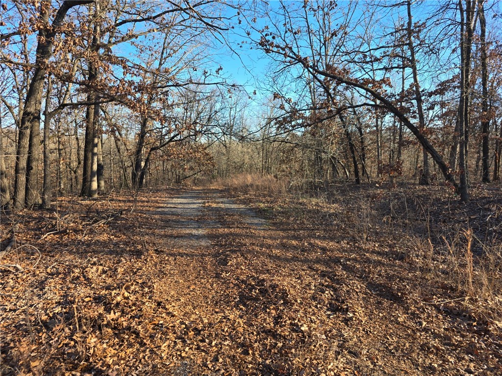 main property photo 6