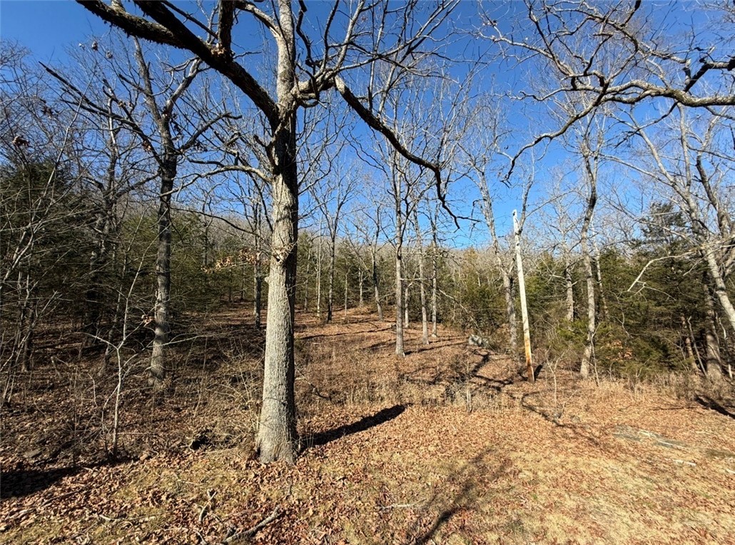 main property photo 12