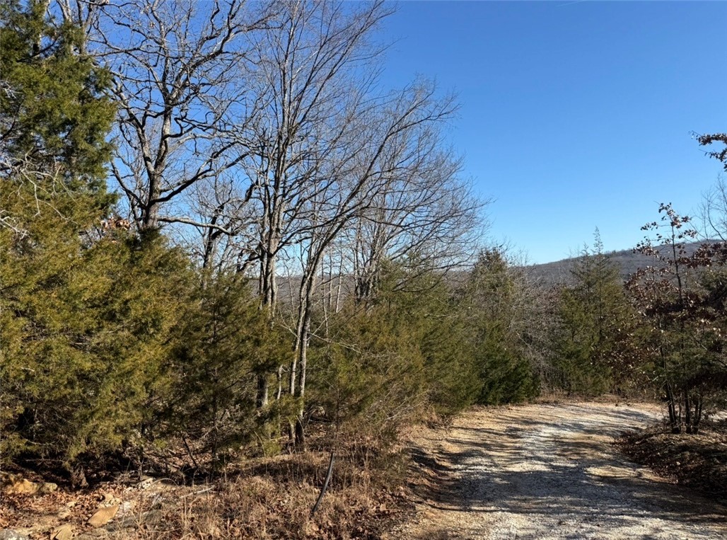 main property photo 23