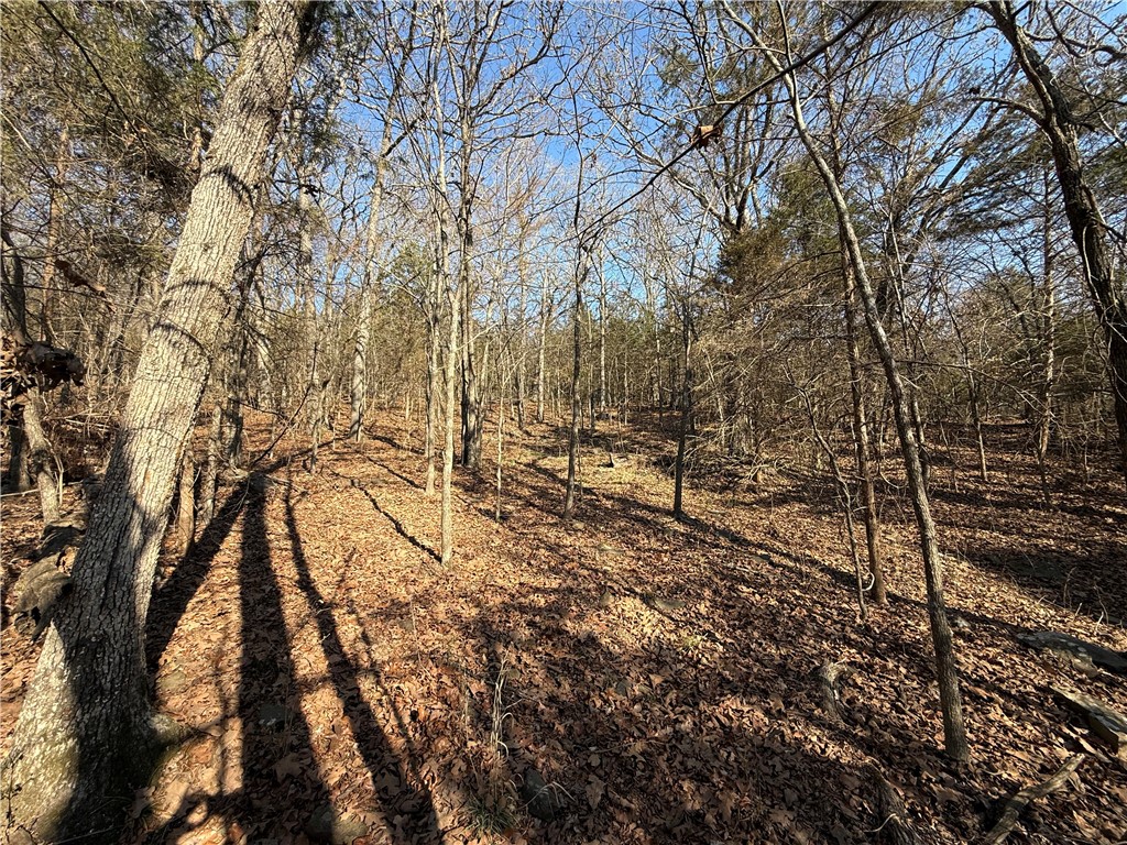 main property photo 7